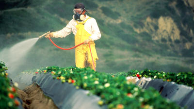 Spraying Crops